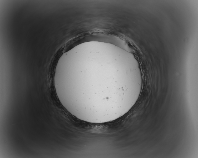 X0000087511160200705251613