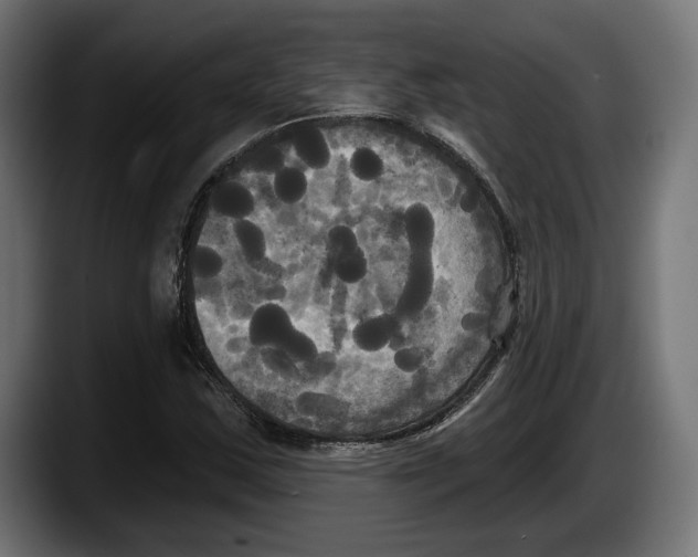 X0000087511163200705251613