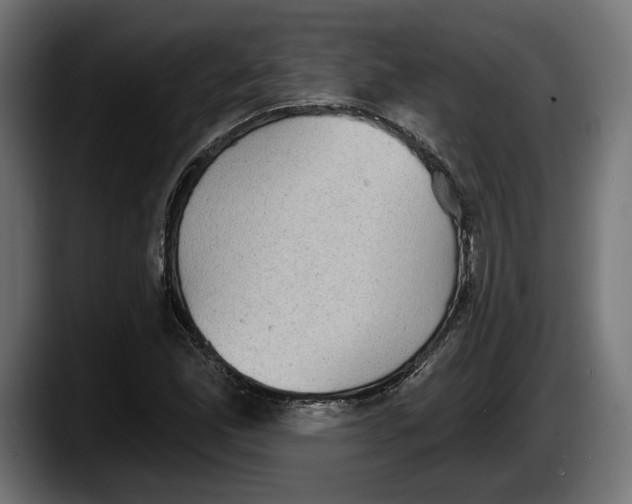 X0000087511165200705251613