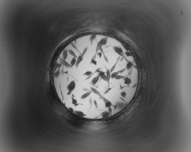 X0000087511166200705251613