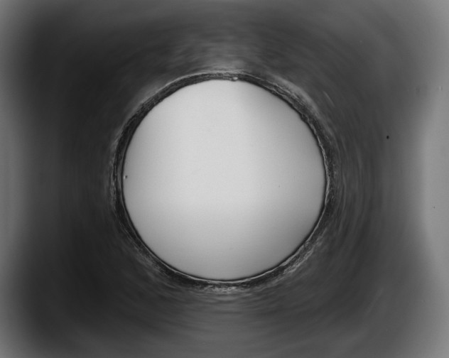 X0000087511168200705251613