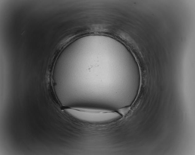 X0000087511169200705251613