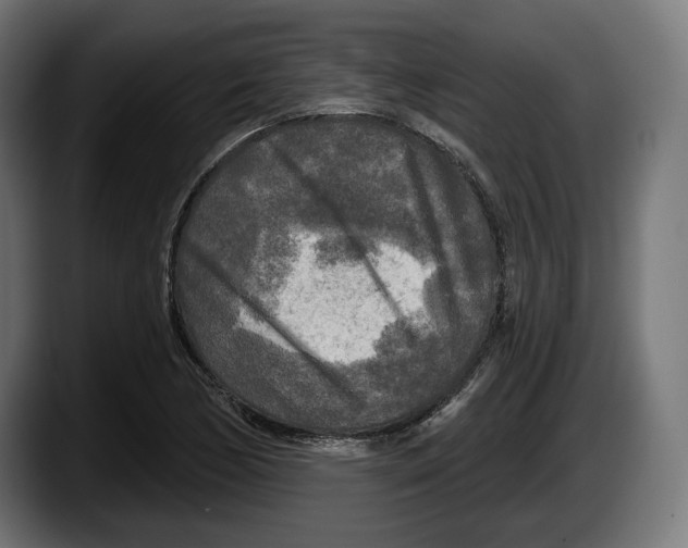 X0000087511170200705251613