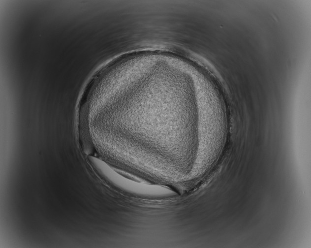 X0000087511172200705251613