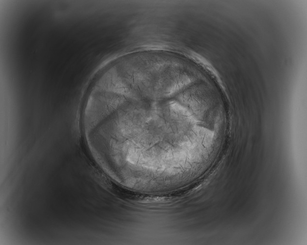 X0000087511174200705251613