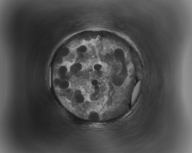 X0000087511175200705251613