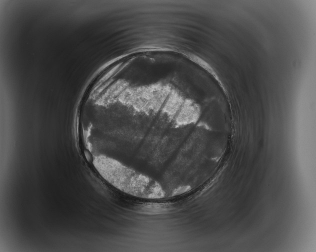 X0000087511179200705251613