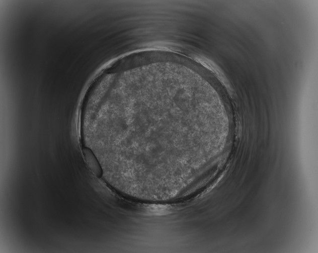 X0000087511180200705251613