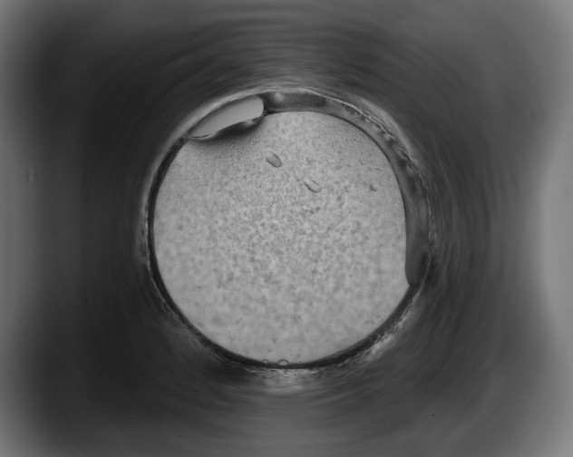 X0000087511184200705251613