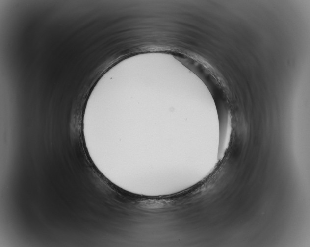 X0000087511185200705251613