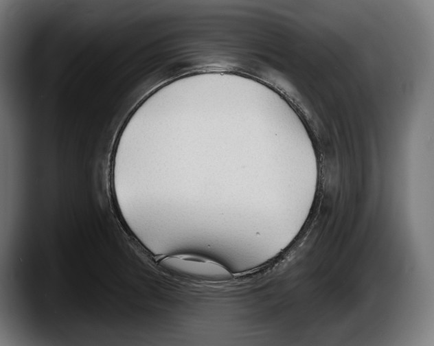 X0000087511186200705251613