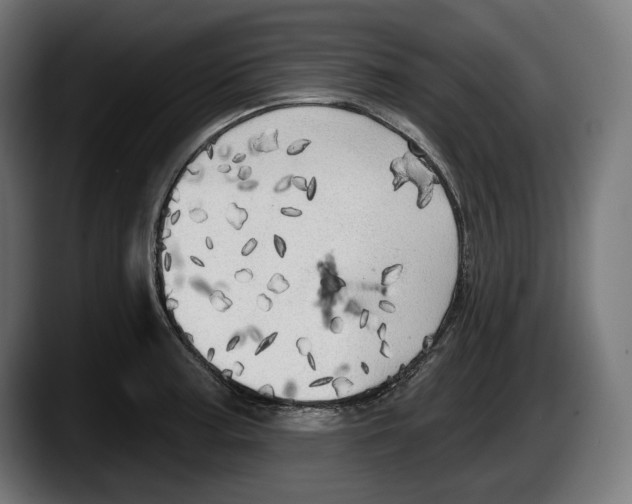 X0000087511187200705251612