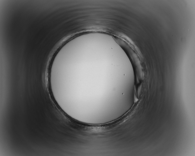 X0000087511188200705251612