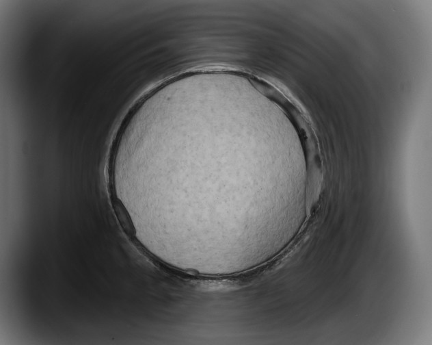 X0000087511189200705251612