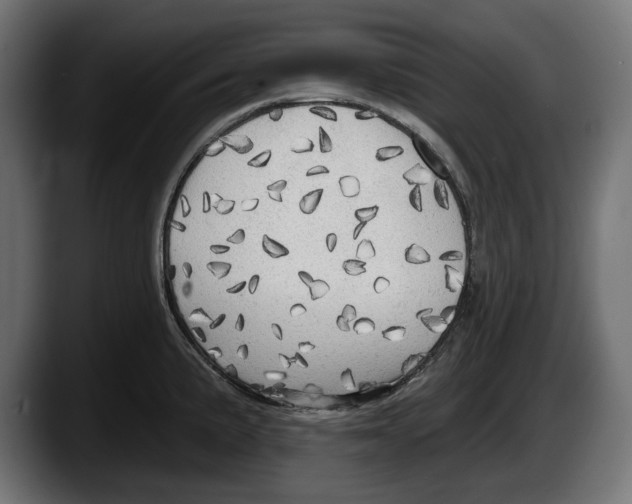 X0000087511191200705251612