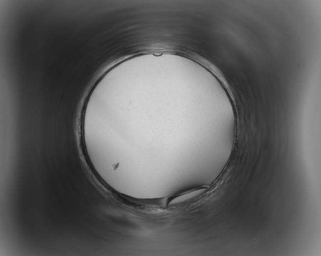 X0000087511195200705251612