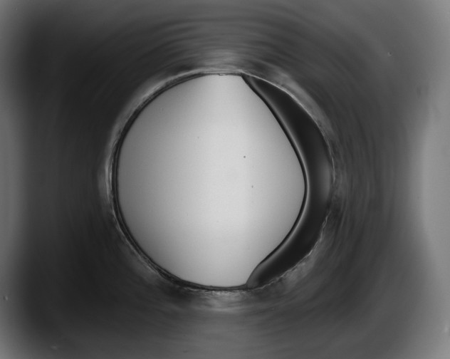 X0000087511196200705251612