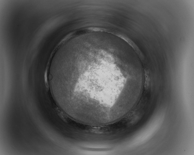 X0000087511198200705251612