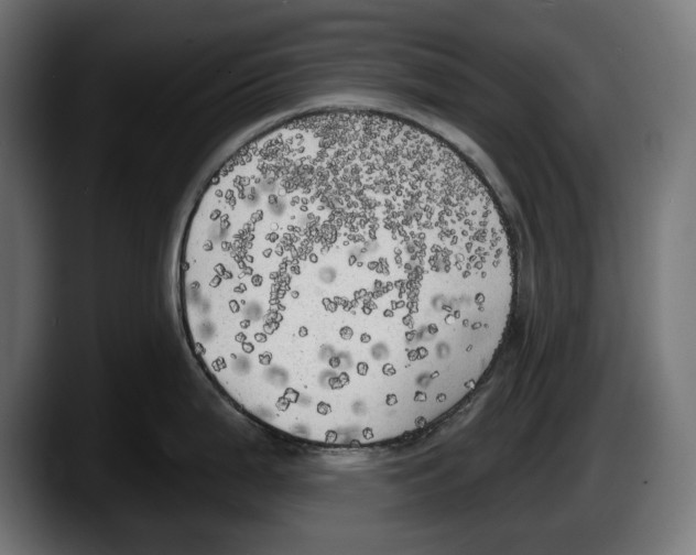 X0000087511199200705251612