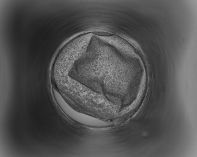 X0000087511200200705251612