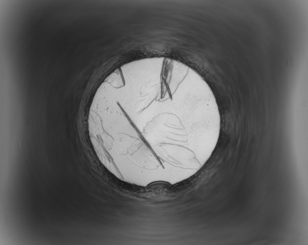 X0000087511201200705251612