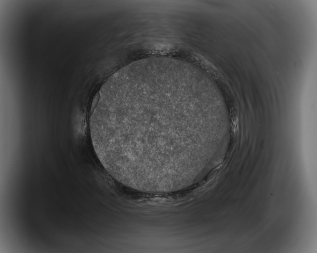 X0000087511204200705251612