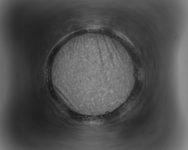 X0000087511208200705251612