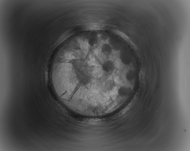 X0000087511209200705251612