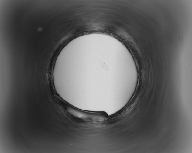 X0000087511210200705251612