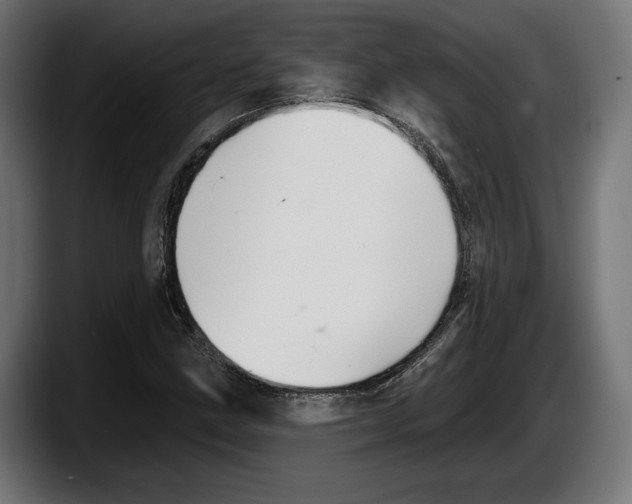 X0000087511211200705251612