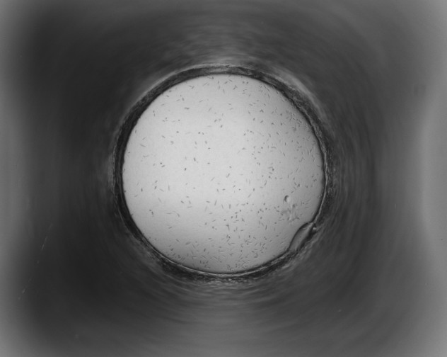 X0000087511216200705251612