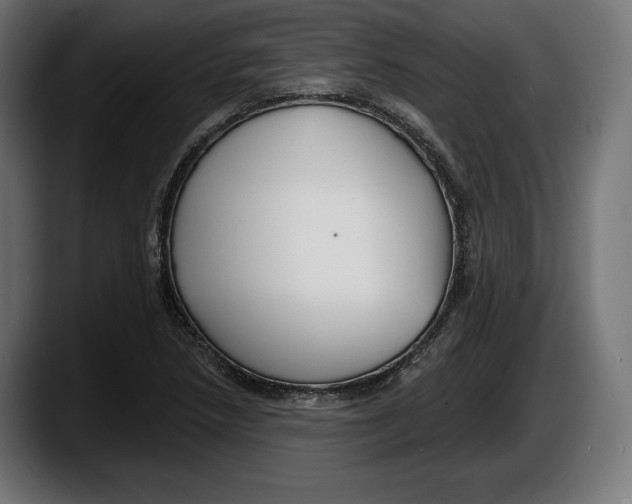 X0000087511218200705251612