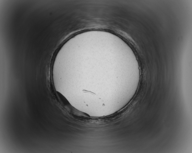 X0000087511220200705251612