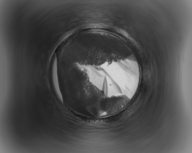 X0000087511221200705251612