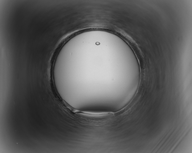 X0000087511222200705251612