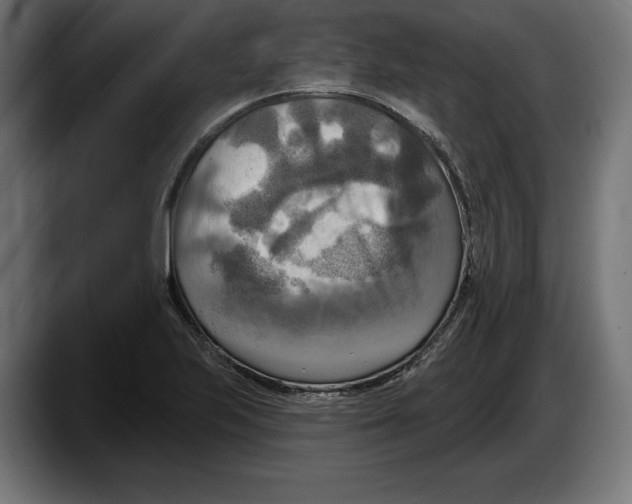 X0000087511223200705251612