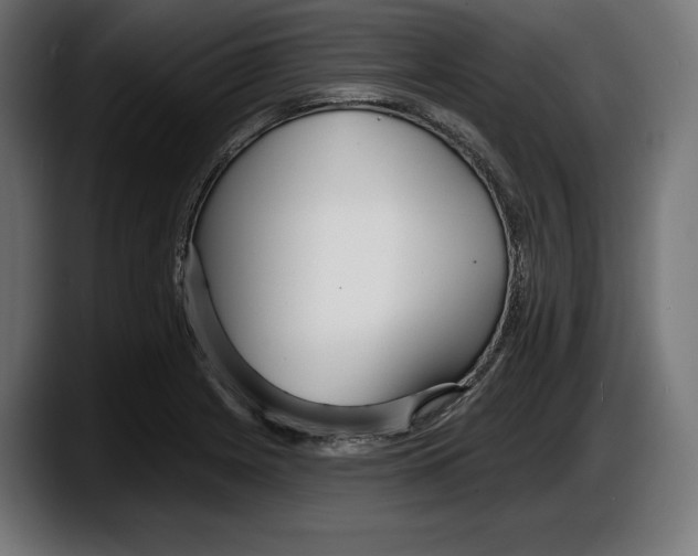 X0000087511225200705251612