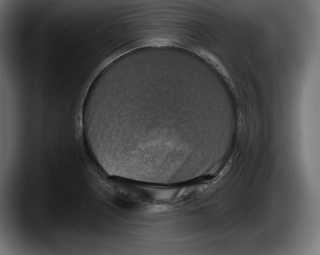 X0000087511226200705251612