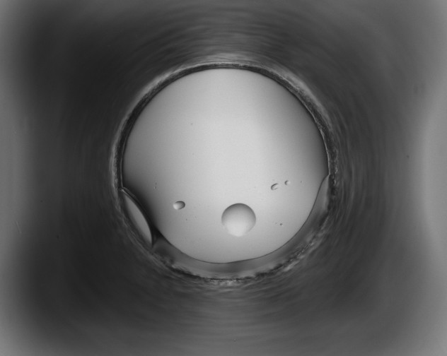 X0000087511230200705251612