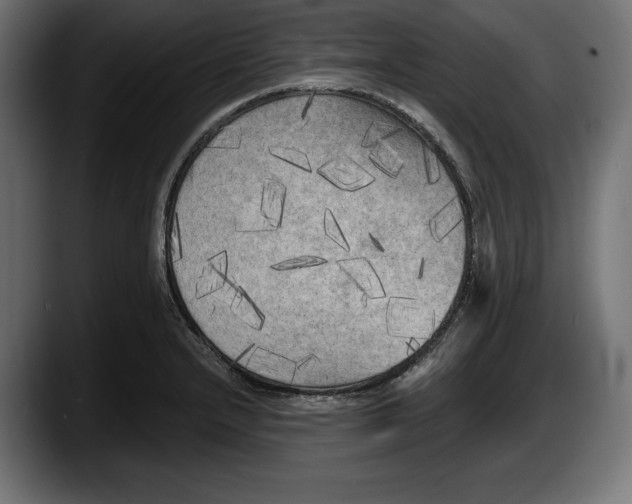 X0000087511232200705251612