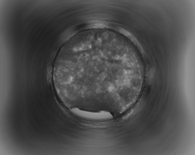 X0000087511233200705251612