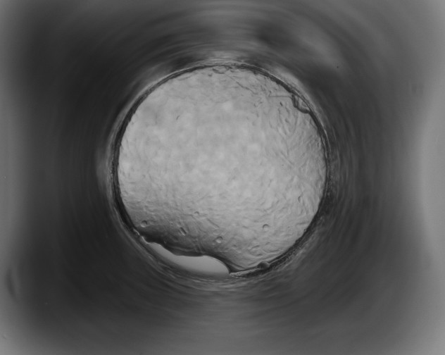 X0000087511235200705251612