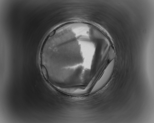 X0000087511239200705251612