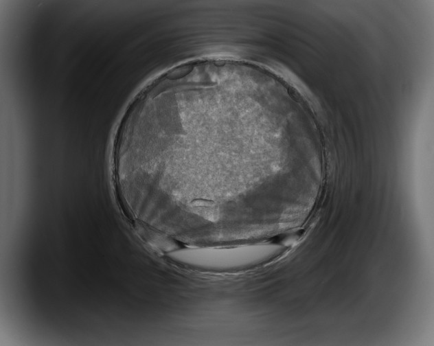 X0000087511240200705251612