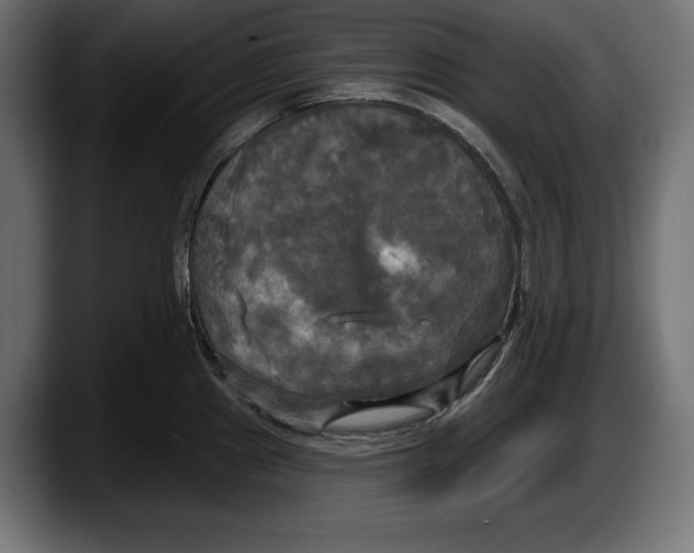 X0000087511241200705251612