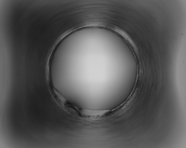 X0000087511242200705251612