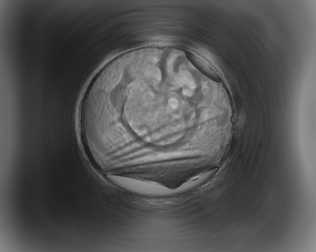 X0000087511243200705251612