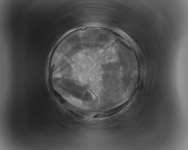 X0000087511244200705251612