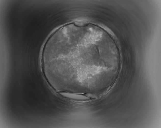 X0000087511248200705251612