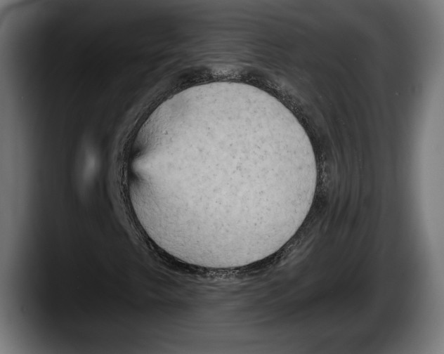 X0000087511249200705251612